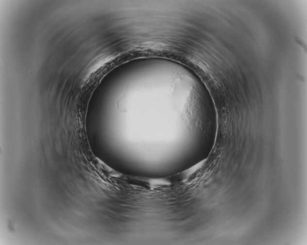 X0000096421112200802071656