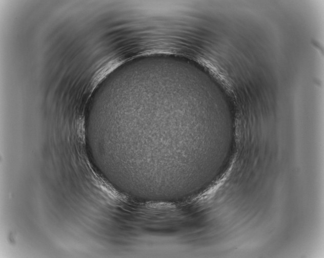 X0000096421113200802071656