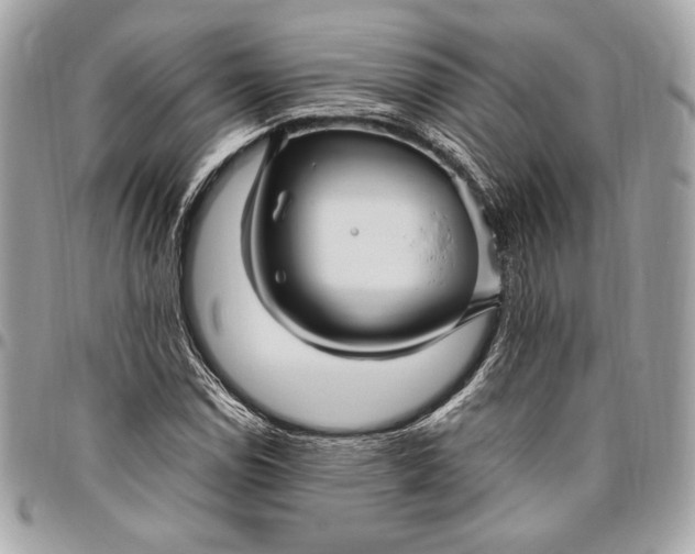 X0000096421114200802071656