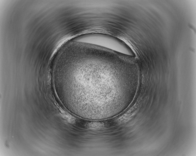 X0000096421115200802071656