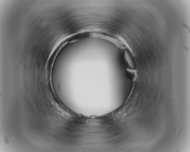 X0000096421116200802071656