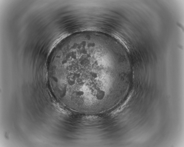 X0000096421117200802071656