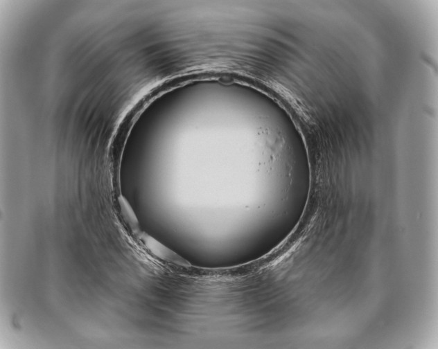 X0000096421118200802071656