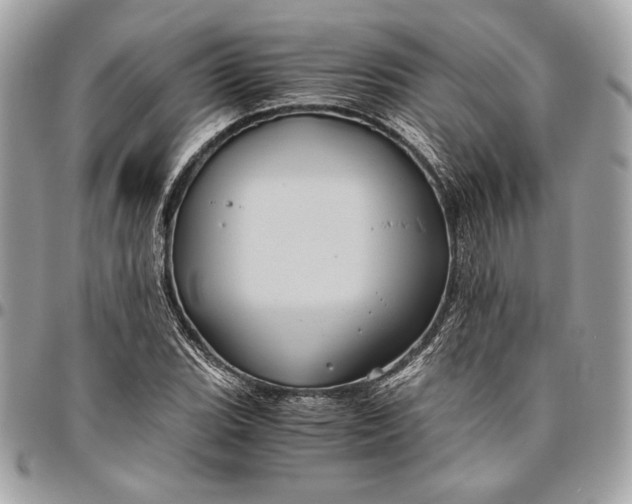 X0000096421119200802071656