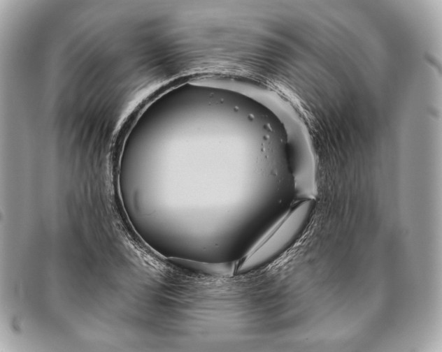 X0000096421120200802071656