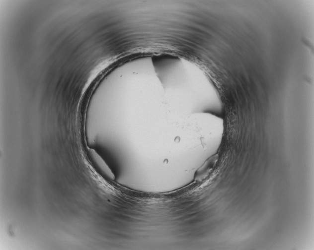 X0000096421122200802071656