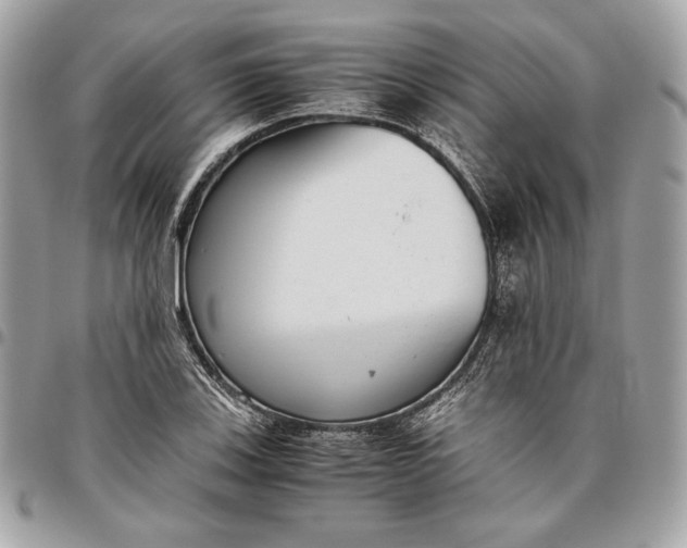 X0000096421123200802071656