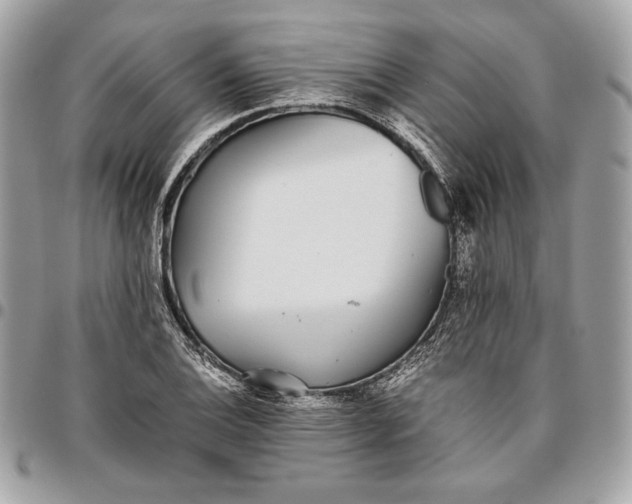 X0000096421124200802071656