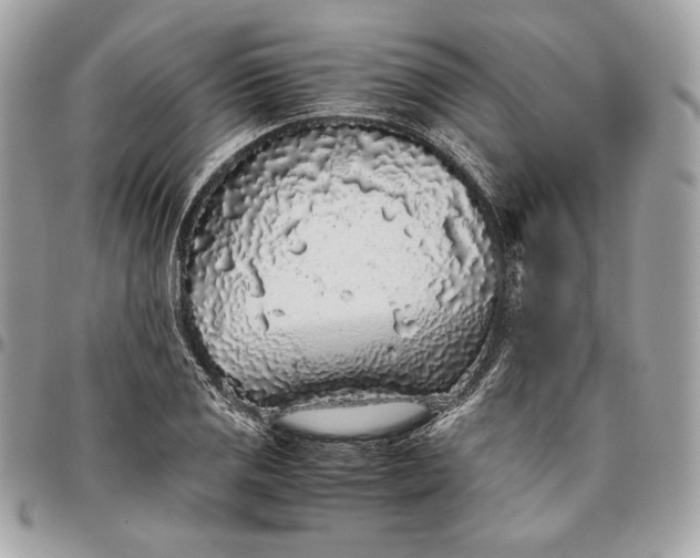 X0000096421125200802071656