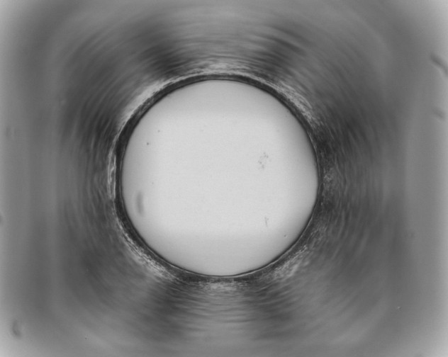 X0000096421126200802071656