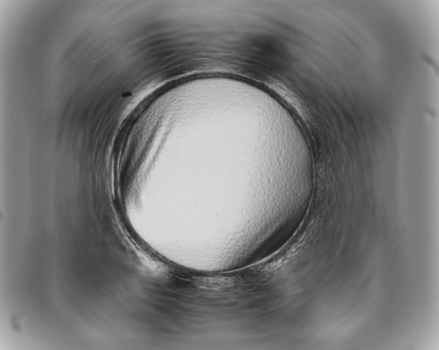 X0000096421127200802071656