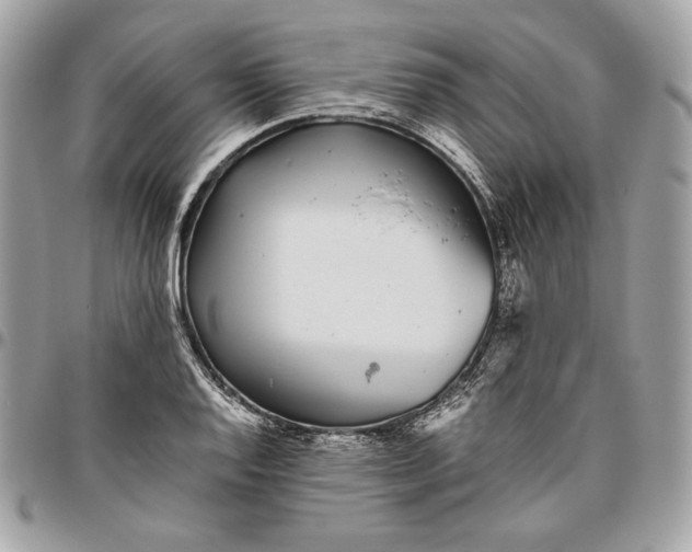 X0000096421128200802071656