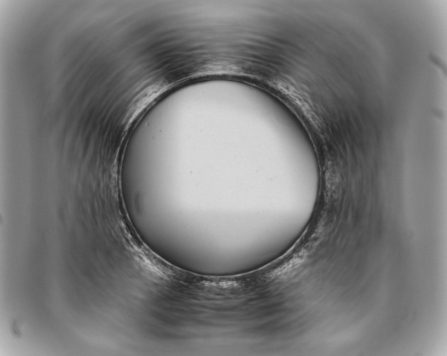 X0000096421129200802071656