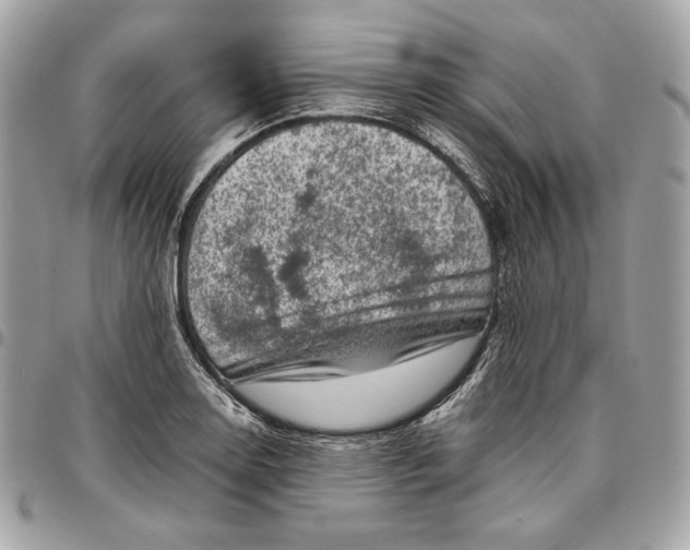 X0000096421130200802071657