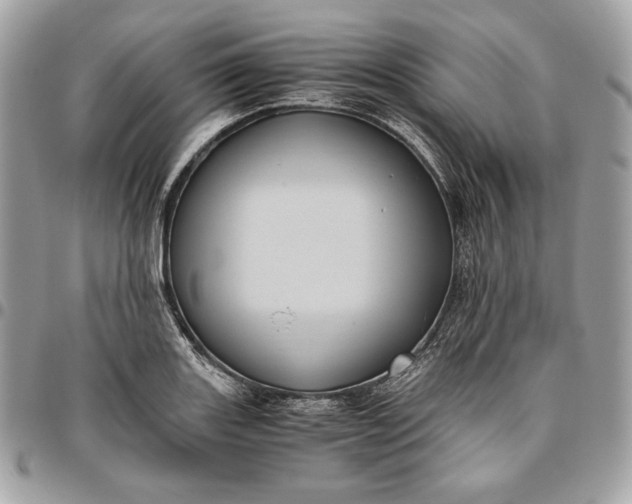 X0000096421131200802071657