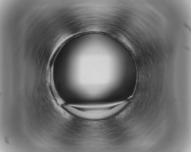 X0000096421132200802071657