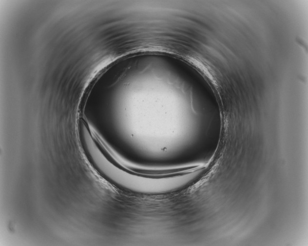 X0000096421133200802071657