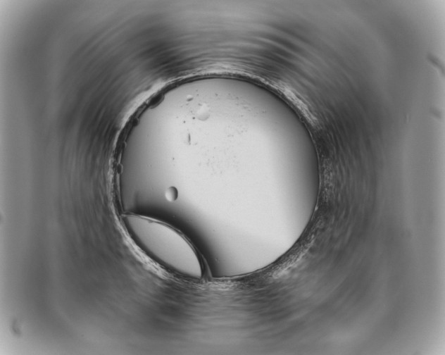 X0000096421134200802071657