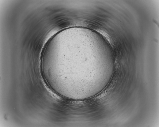 X0000096421135200802071657