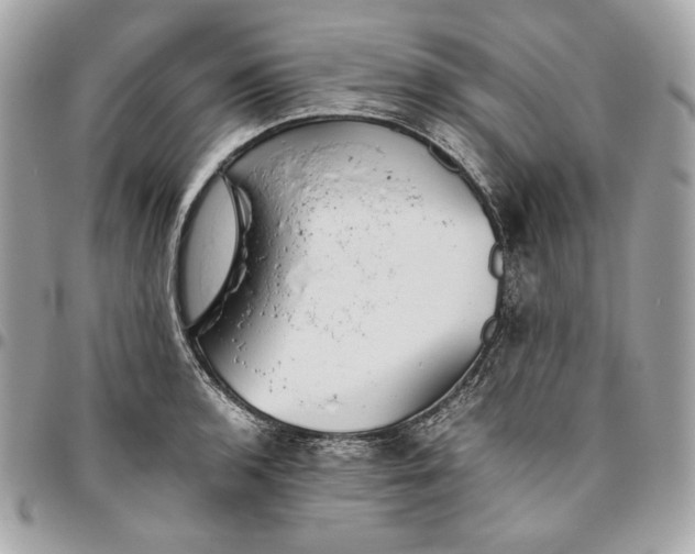 X0000096421136200802071657