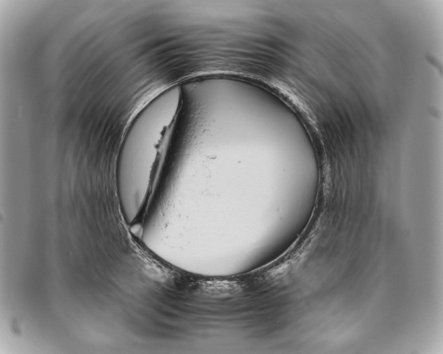 X0000096421137200802071657