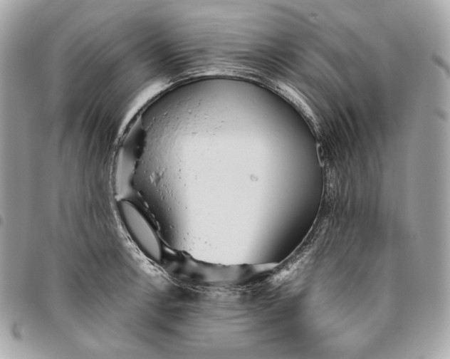 X0000096421138200802071657