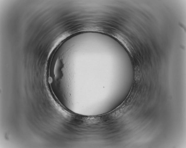 X0000096421139200802071657