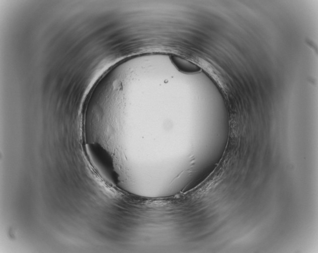 X0000096421140200802071657