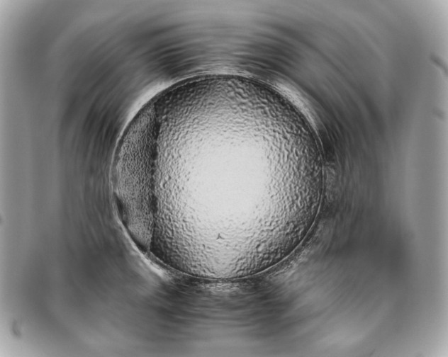 X0000096421141200802071657