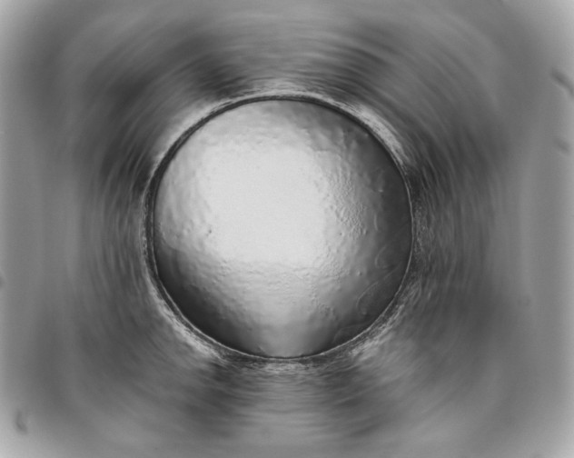 X0000096421142200802071657