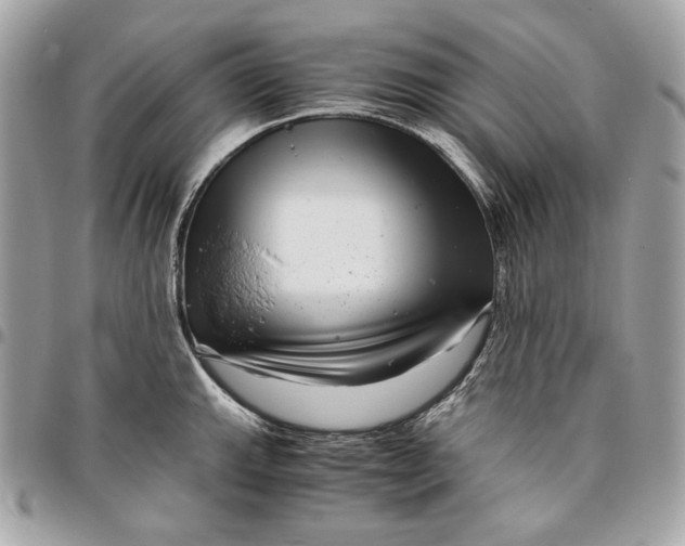 X0000096421143200802071657