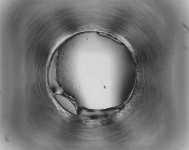 X0000096421144200802071657