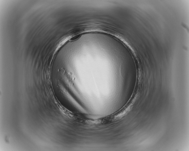 X0000096421145200802071657