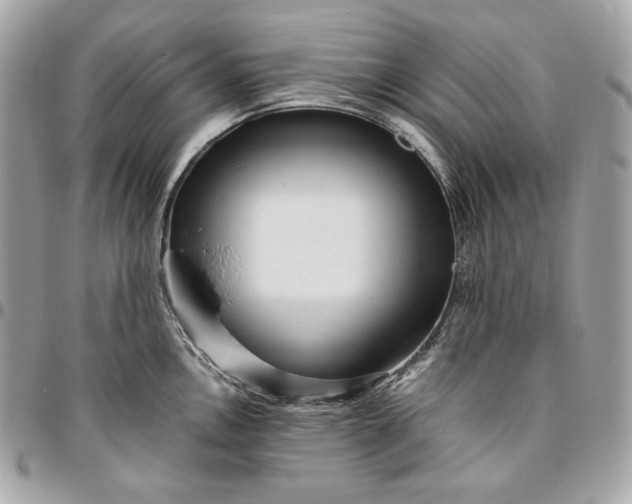 X0000096421146200802071657