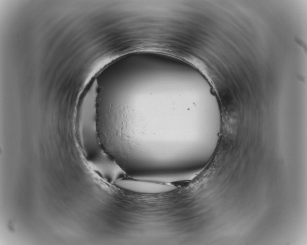 X0000096421147200802071657