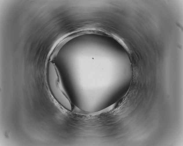 X0000096421148200802071657