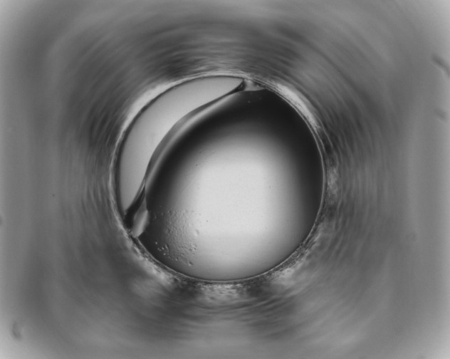 X0000096421149200802071657