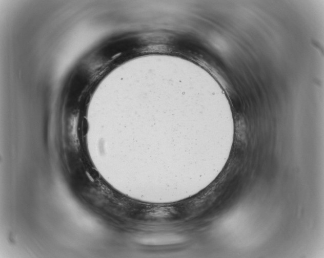 X0000096421150200802071657