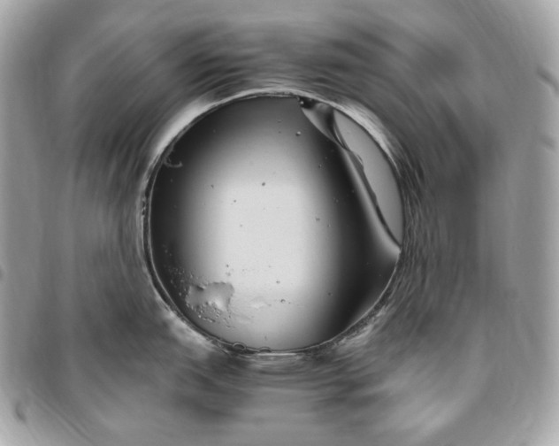 X0000096421151200802071657