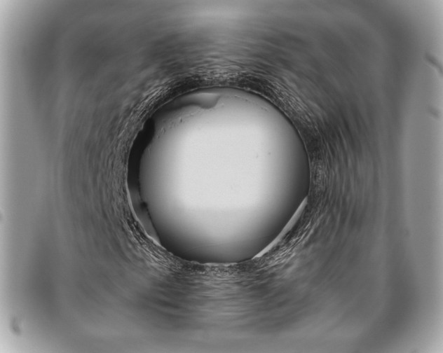 X0000096421153200802071656