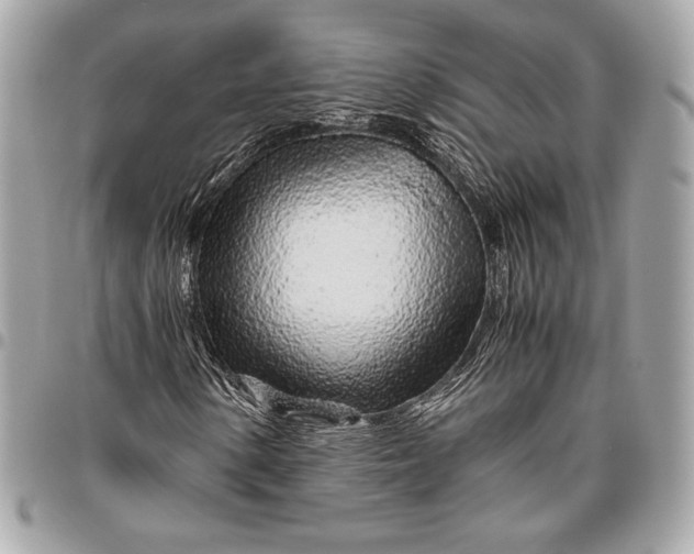 X0000096421154200802071656