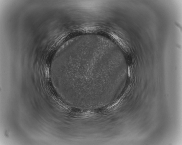 X0000096421155200802071656