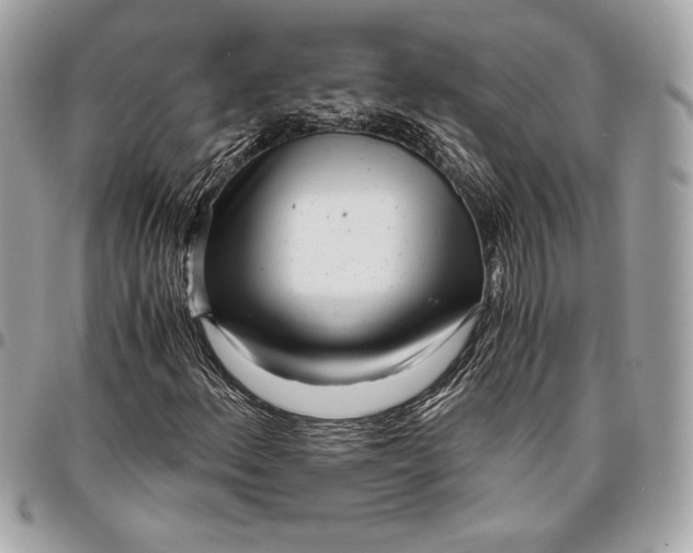 X0000096421156200802071656