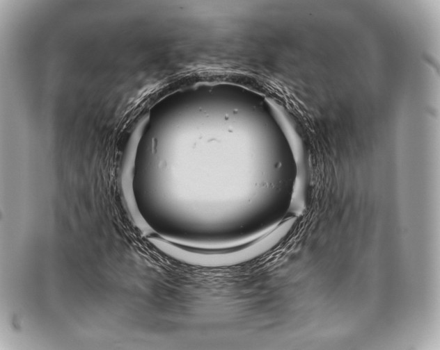 X0000096421157200802071656