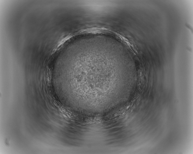 X0000096421158200802071656