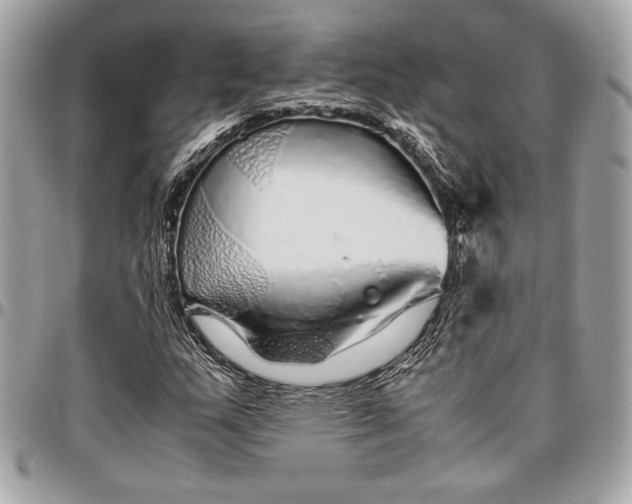 X0000096421159200802071656