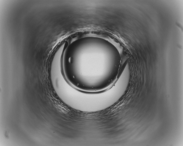 X0000096421160200802071656