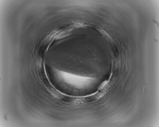 X0000096421161200802071656