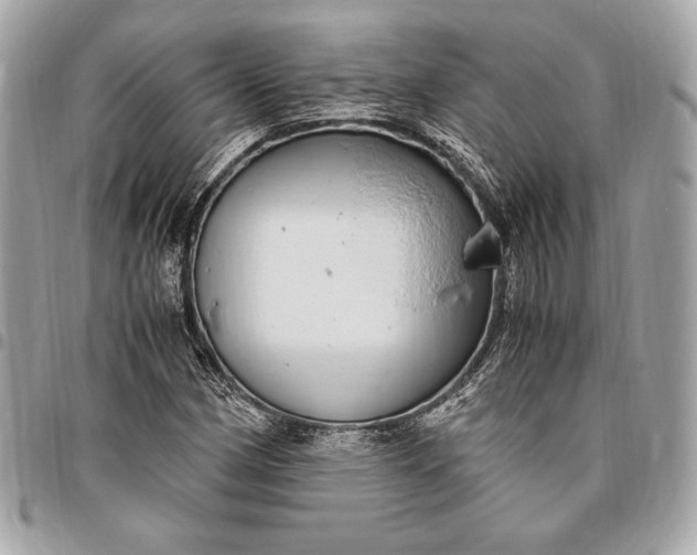 X0000096421162200802071656