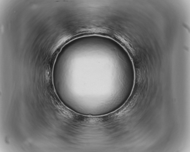 X0000096421163200802071656